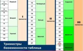 Миссфит календарь беременности по неделям
