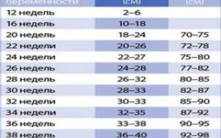 Ож беременности по неделям