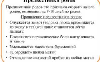 36 неделя беременности предвестники родов у повторнородящих форум