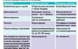 С какой периодичностью начинаются схватки перед родами
