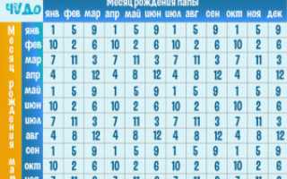 Как правильно рассчитать по обновлению крови пол ребенка