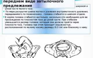 При переднем виде затылочного предлежания головка прорезывается