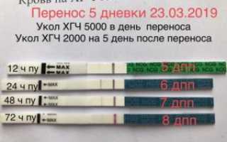 Хгч на 9 день после переноса эмбрионов