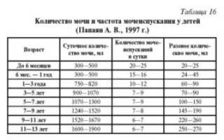 Объем суточной мочи норма