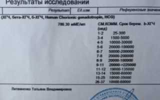 Правила сдачи хгч крови