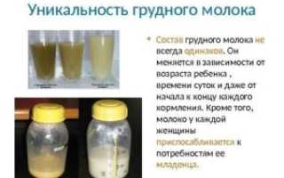 За какое время перегорает молоко