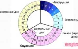 На какой день после начала месячных наступает овуляция