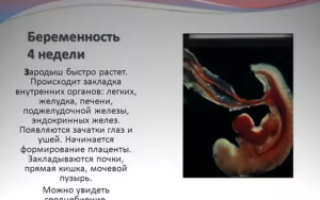 Беременность на 4 недели симптомы