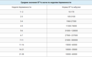 Сколько должно быть хгч при 2 недели беременности