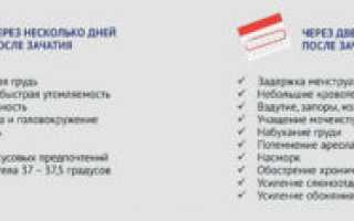 На первом месяце беременности могут ли пойти месячные