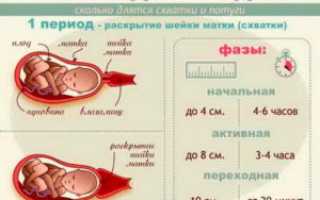 Сколько времени длятся роды