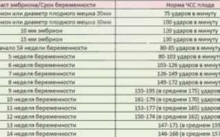 8 недель беременности сердцебиение