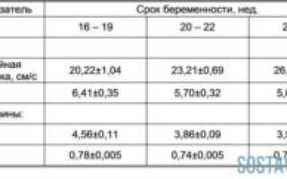 Кровоток в пуповине норма