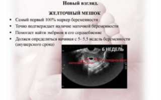 Эмбриональный и акушерский сроки беременности