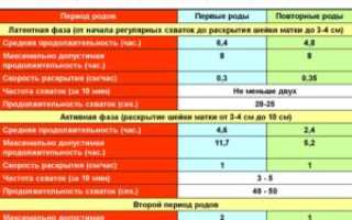 Сколько должна длиться схватка