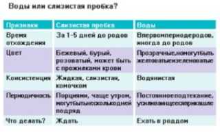 За сколько до родов отходит слизистая пробка