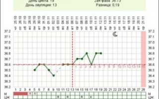 На какой день овуляция при 30 дневном цикле
