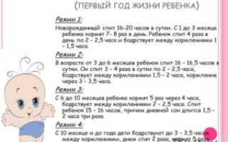Режим дня в 3 месяца на грудном вскармливании